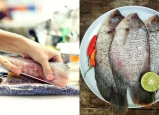 Temukan Sumber Nutrisi Terbaik: Bagian Ikan dengan Kandungan Gizi Tertinggi