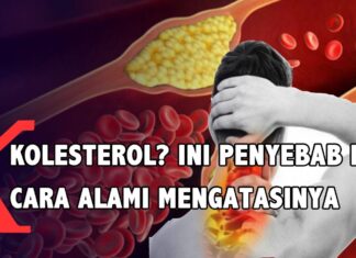 Menjaga Kesehatan Tubuh dengan Squalene: Senyawa Alami Penurun Kolesterol Jahat