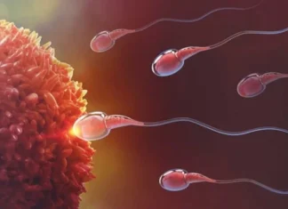 Squalene Membantu Meningkatkan Kualitas Sperma