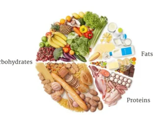 Lebih Baik Mana Antara Karbohidrat, Protein Dan Lemak Sebagai Sumber Energi